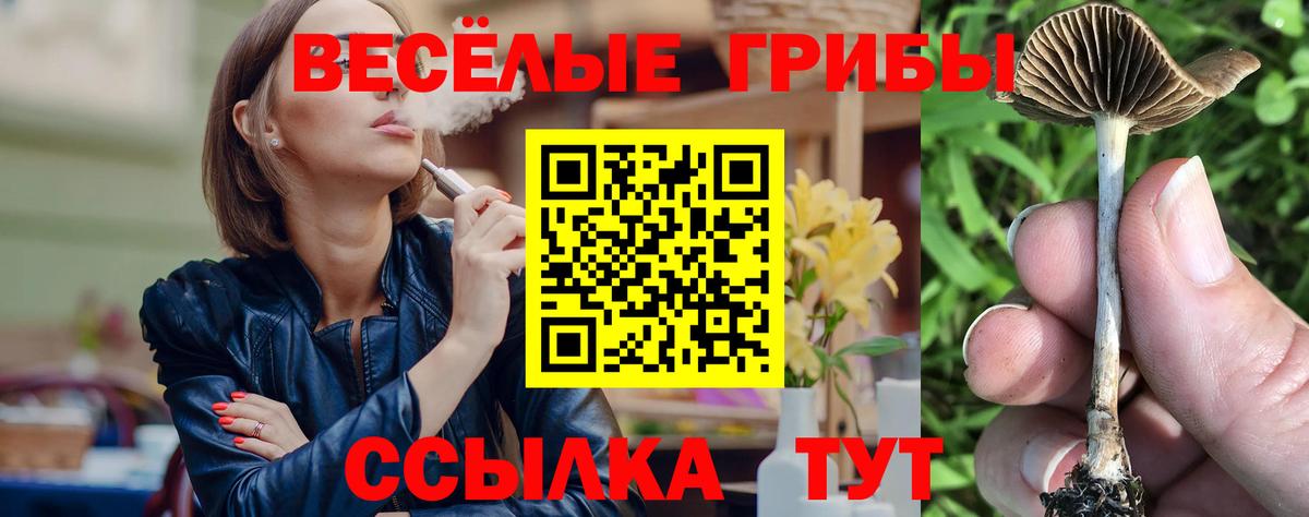 Псилоцибиновые грибы прущие грибы Гусев