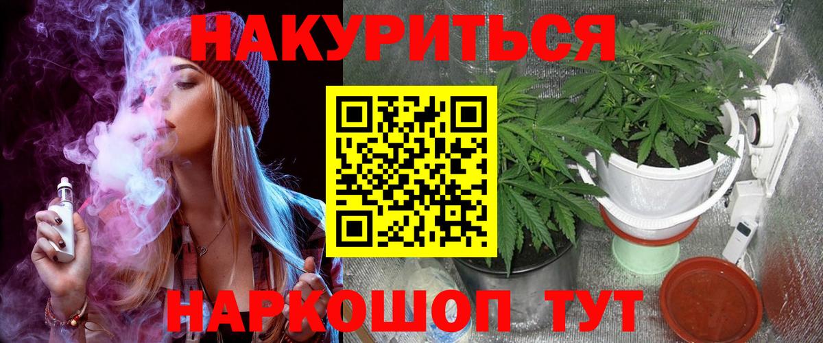 Конопля гибрид  Вход с VPN  Шишки марихуана сатива  Канабис White Widow  Гусев  Канабис марихуана 
